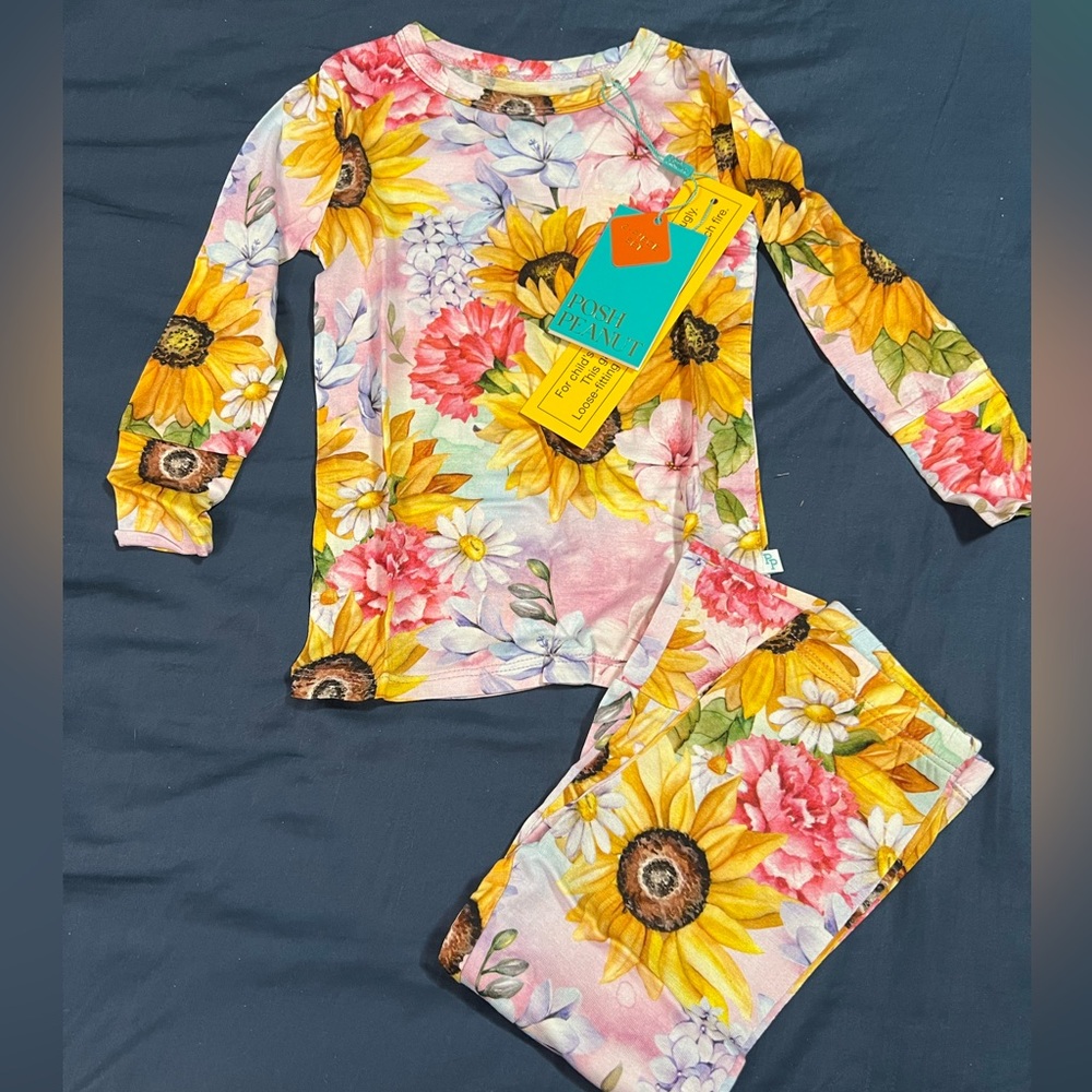 Posh Peanut Summer Long Sleeve Pajamas
